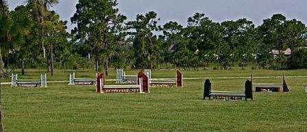 Mikenda Farm Boarding View